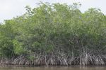 florida_10_image11.jpg